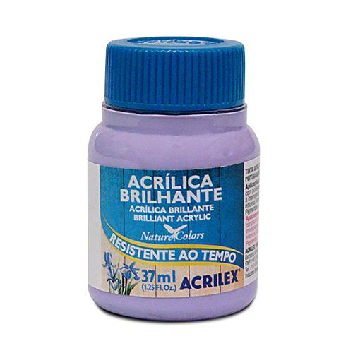 PINTURA ACRÍLICA BRILLANTE 37 ML