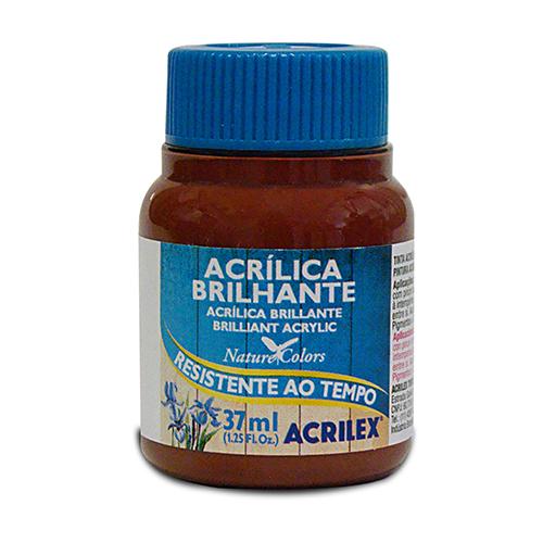 PINTURA ACRÍLICA BRILLANTE 37 ML